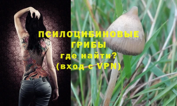 мяу мяу кристалл Горняк
