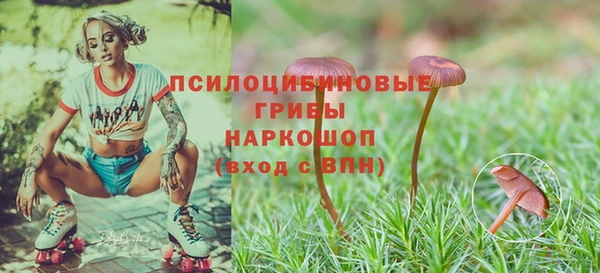 мяу мяу кристалл Горняк