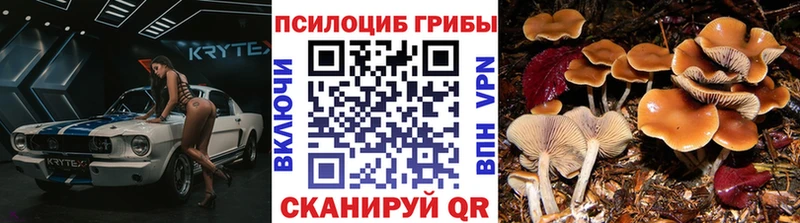 Галлюциногенные грибы мицелий  Данков 